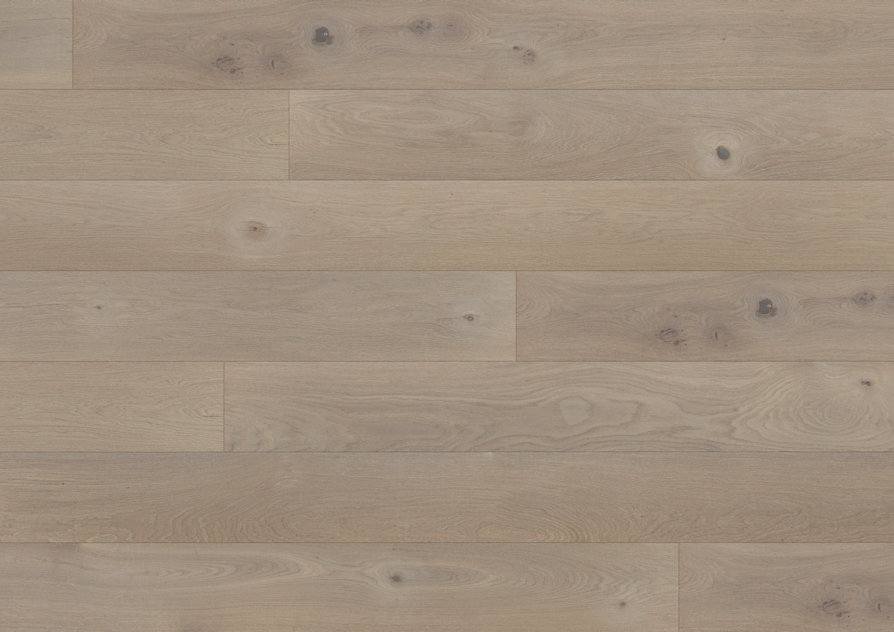 Eiken unique zilvergrijs