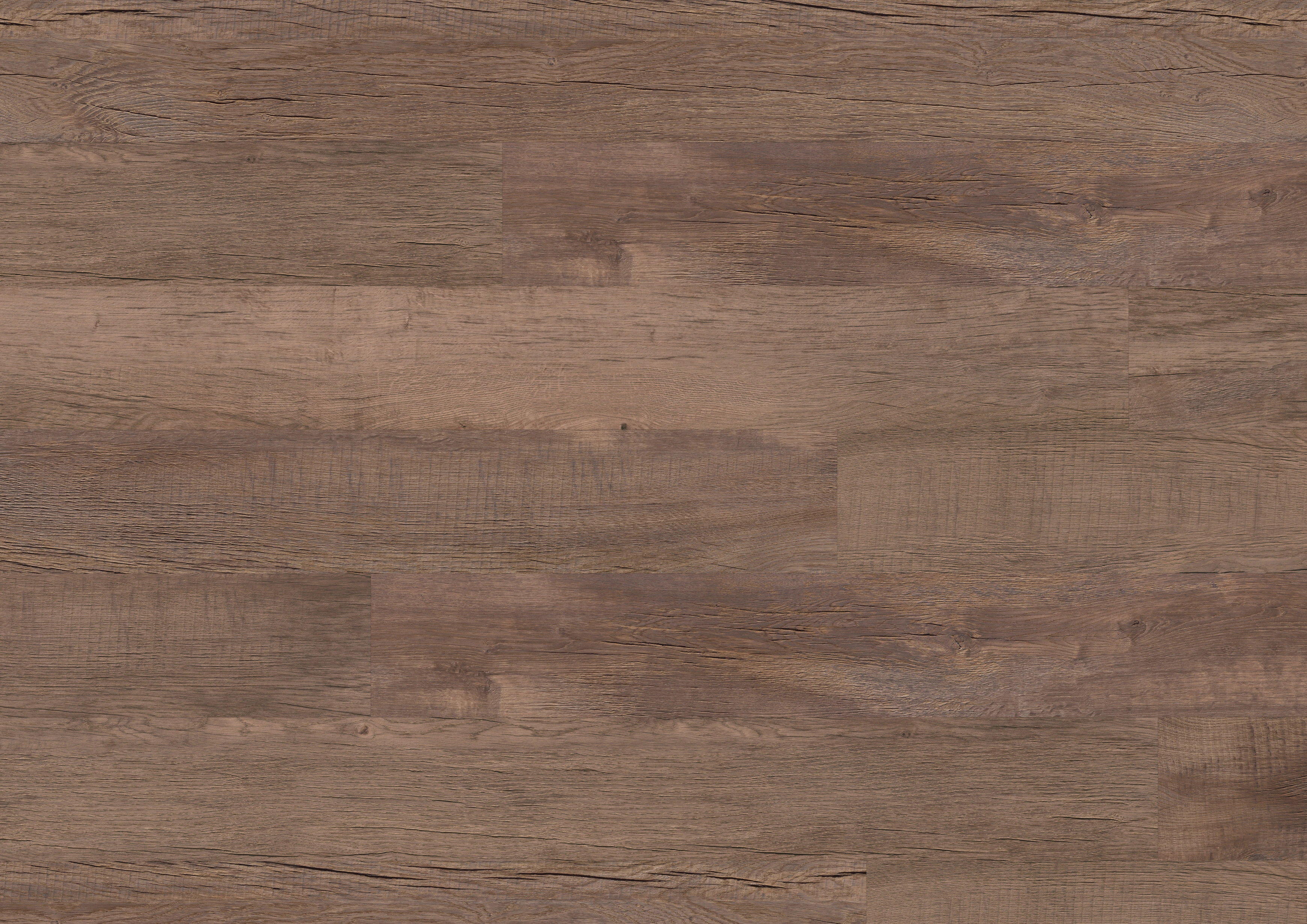 Oak Salvador