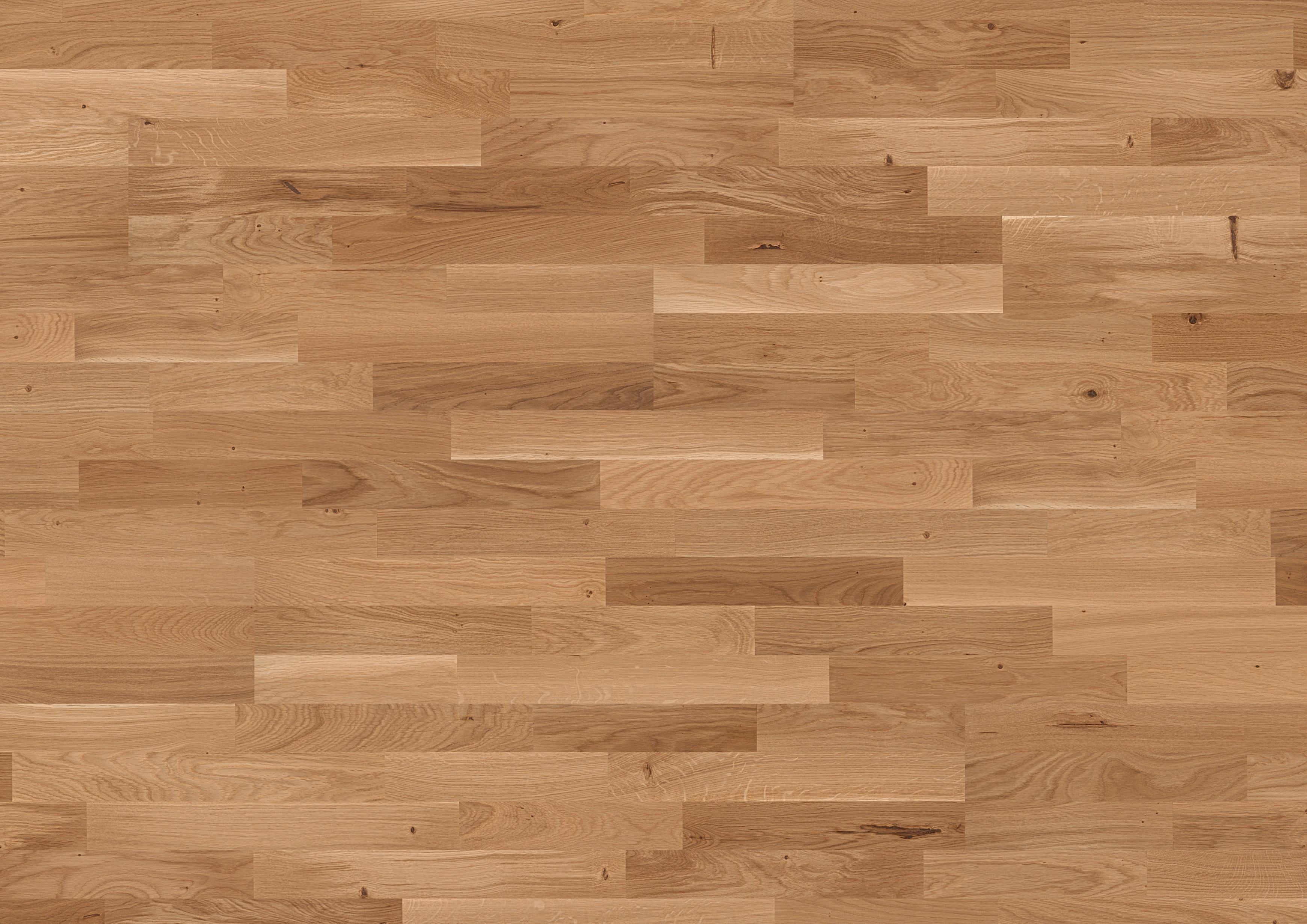 Oak