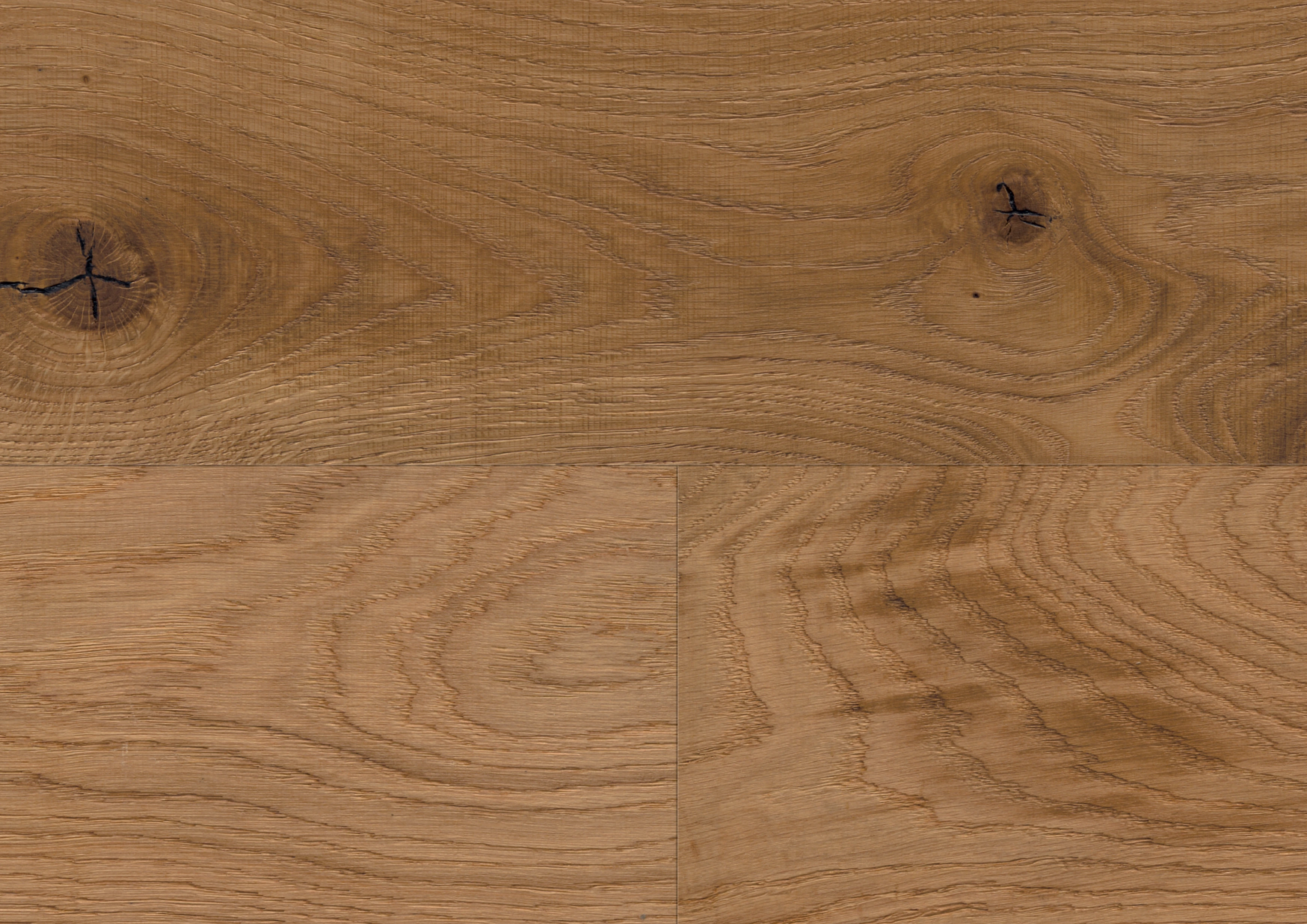 Oak No. 24 - Glasgow