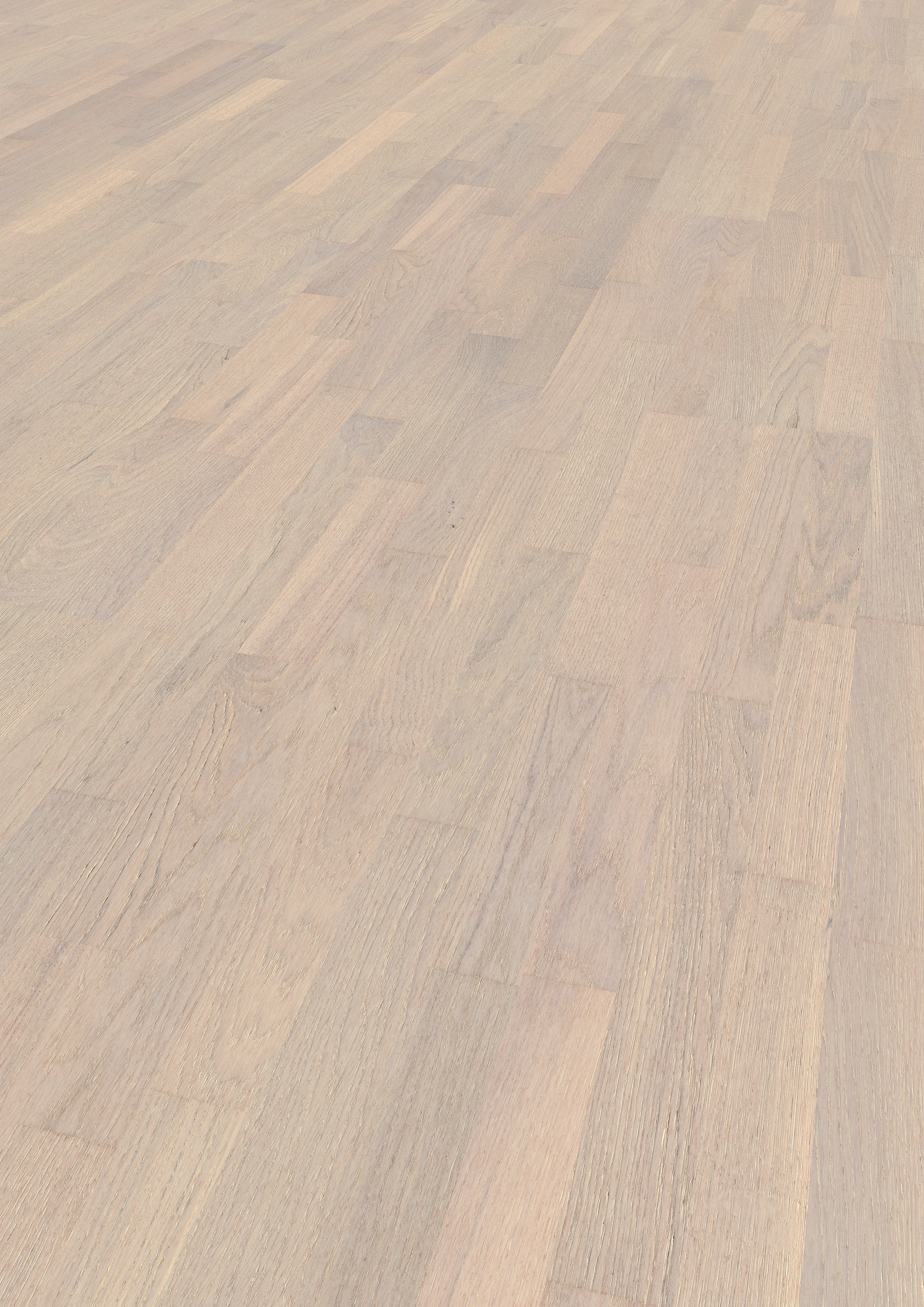 Eiche Jackson Square