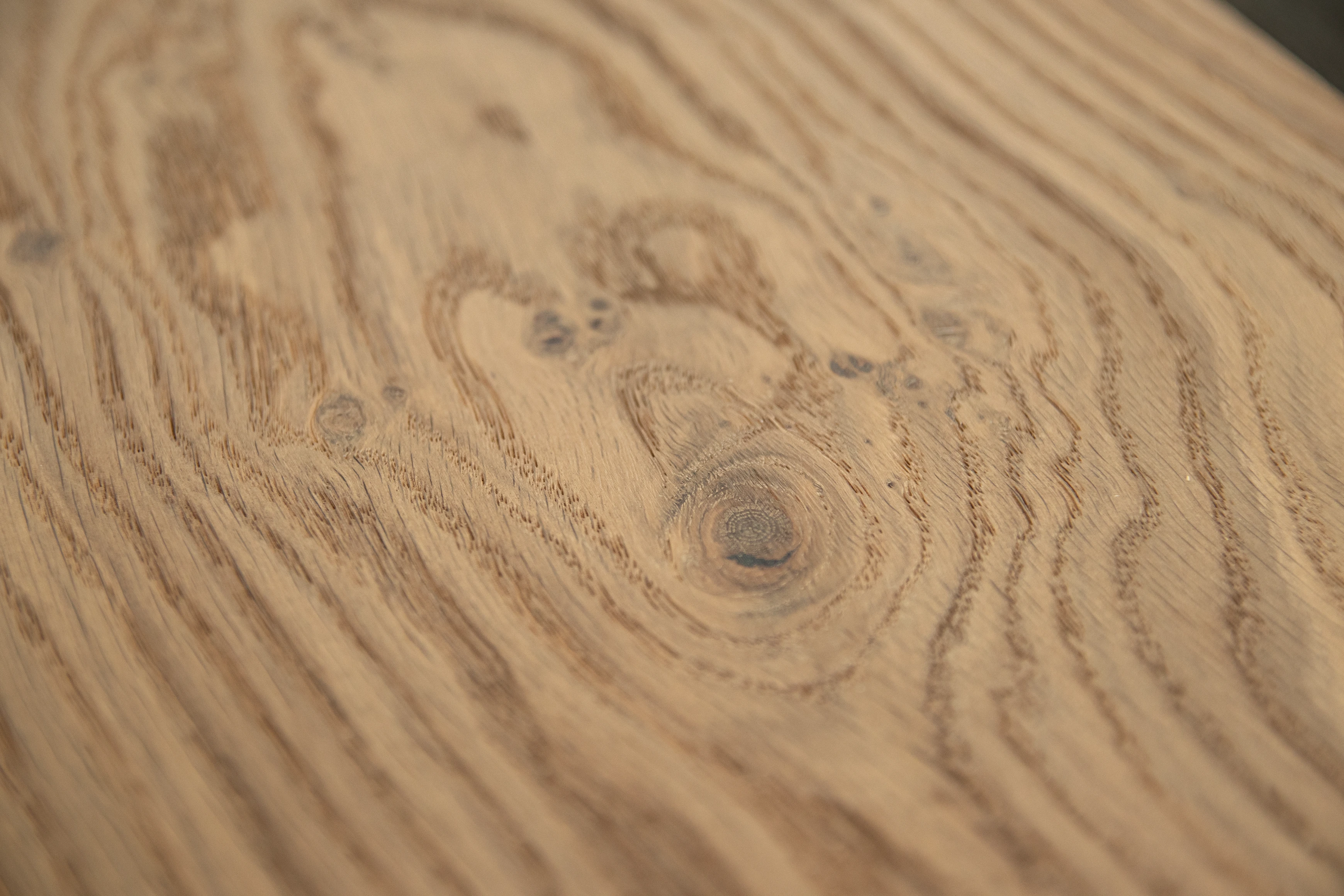 Oak No.21 - Warwick