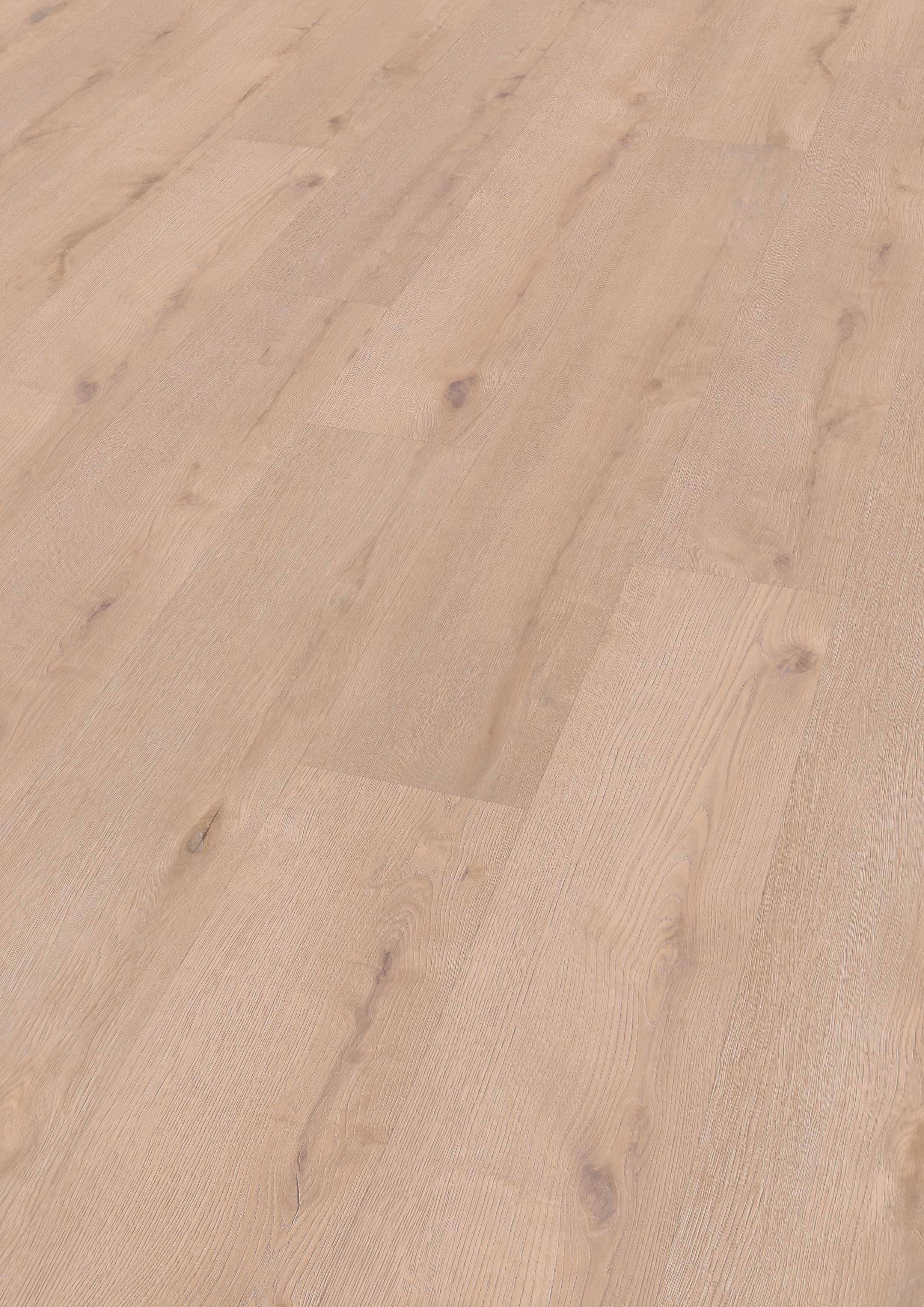Oak Stettin