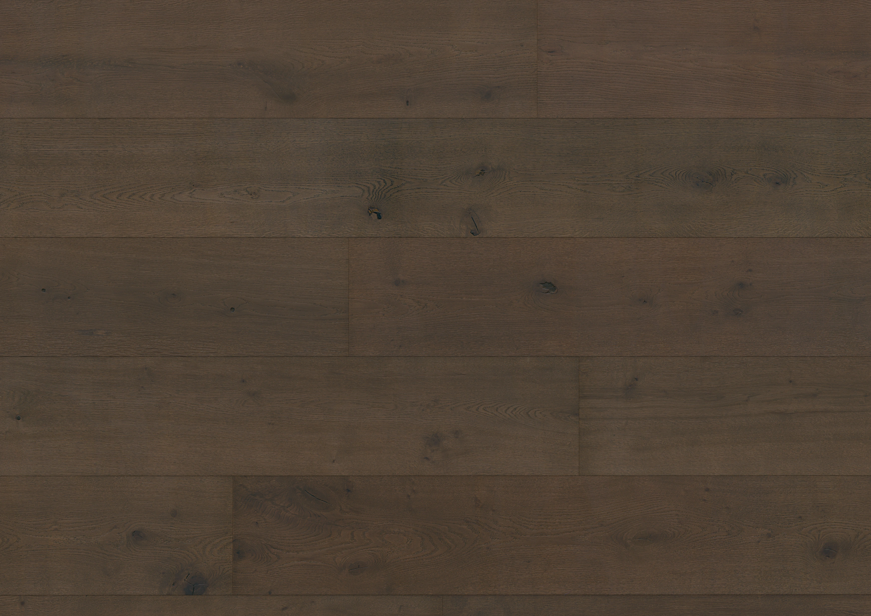 Oak Sumava