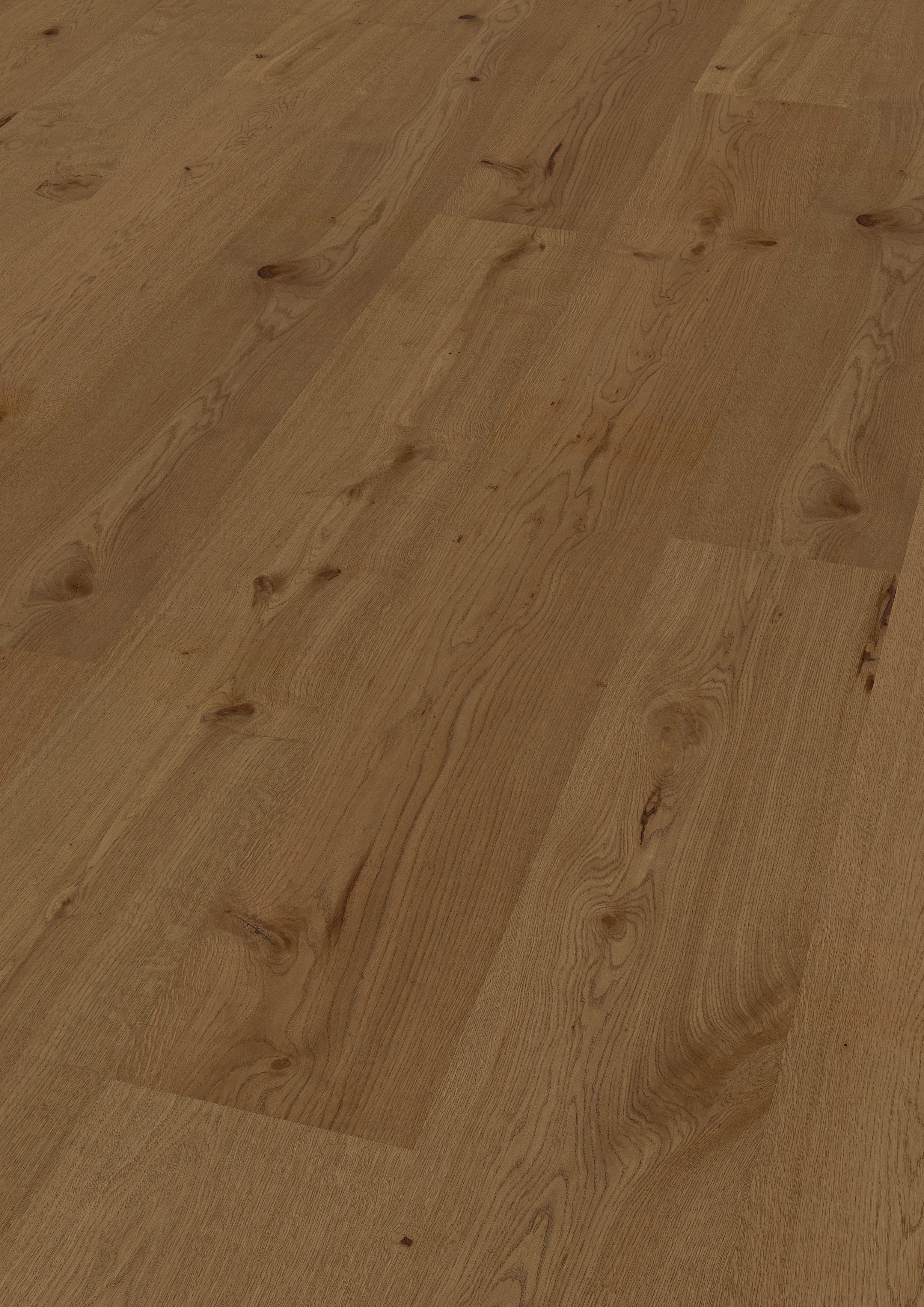 Eiche Riding Mountain