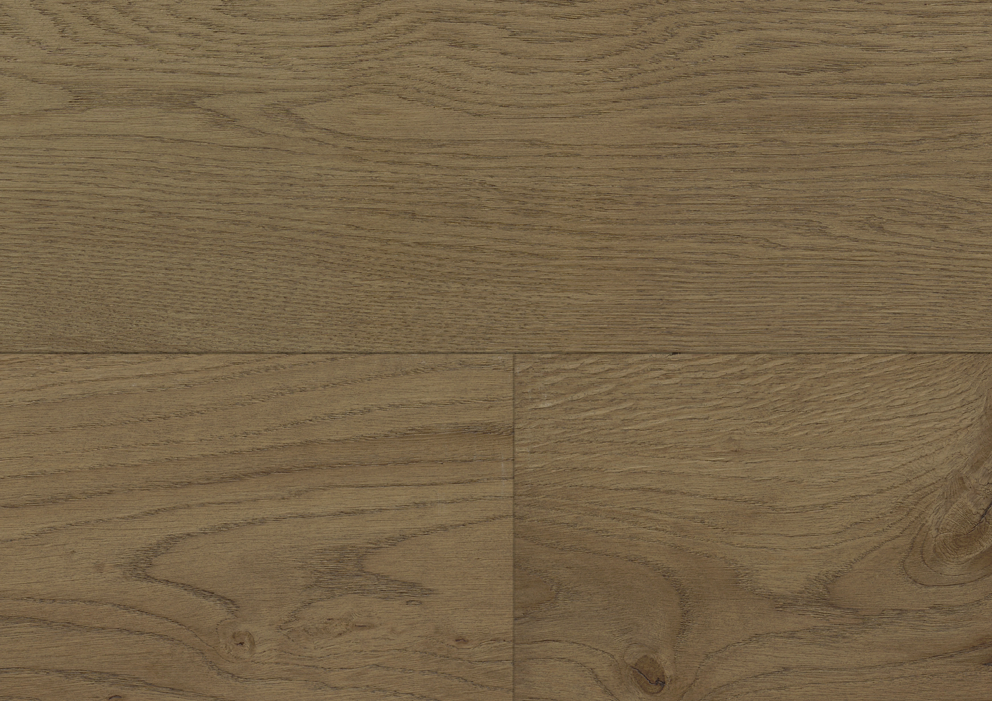 Eiche Riding Mountain