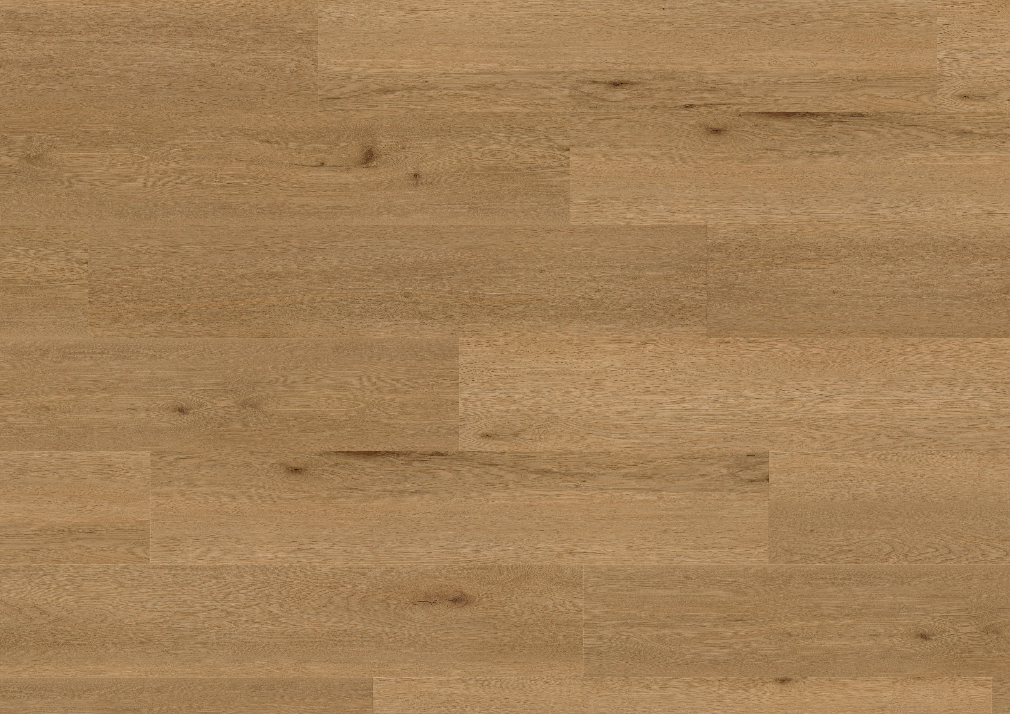 Oak Lyon