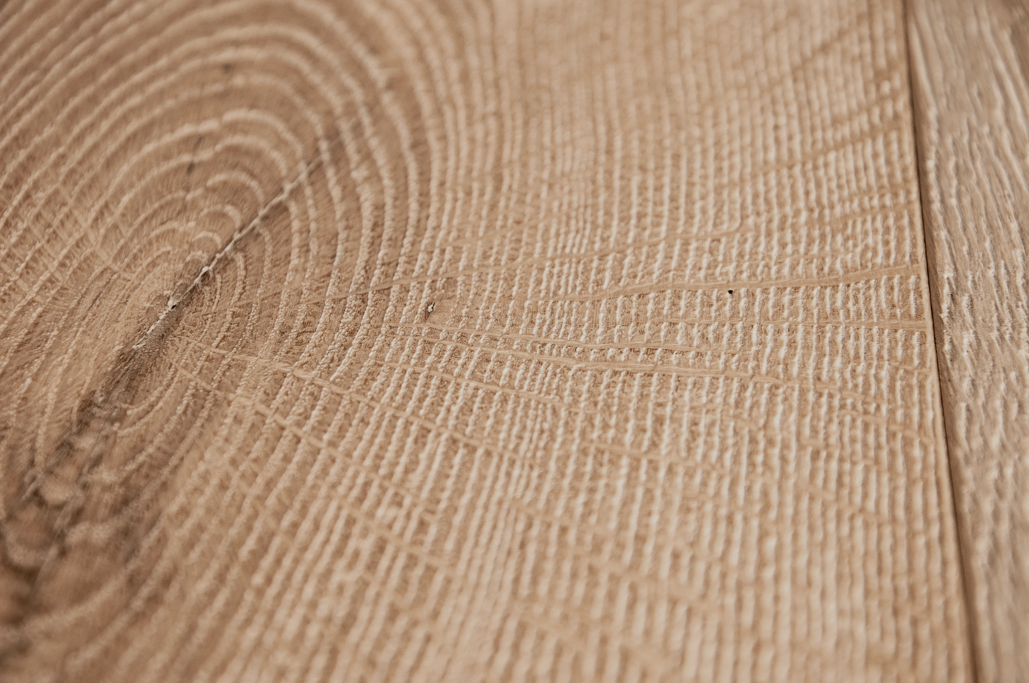 Oak No.12 - Lancaster