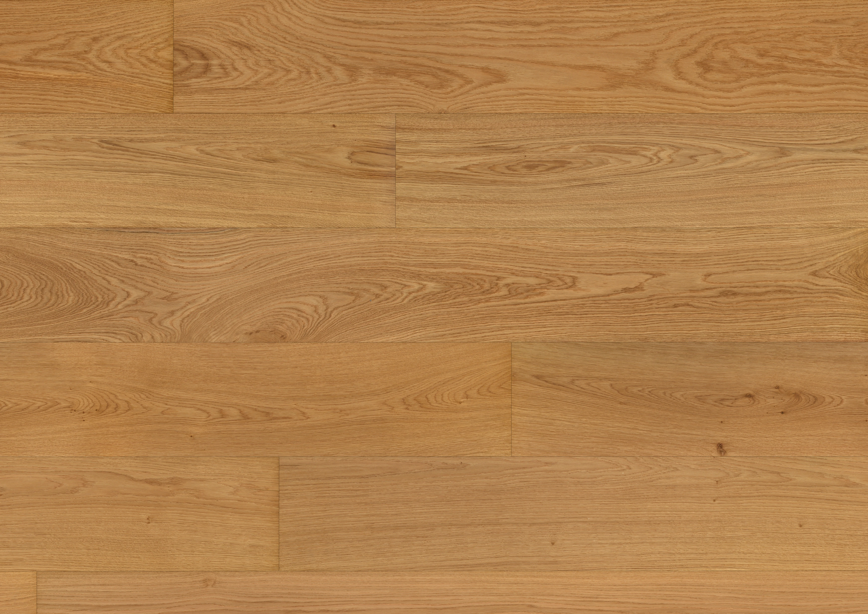 Oak No.14 - Windsor | 1148012291