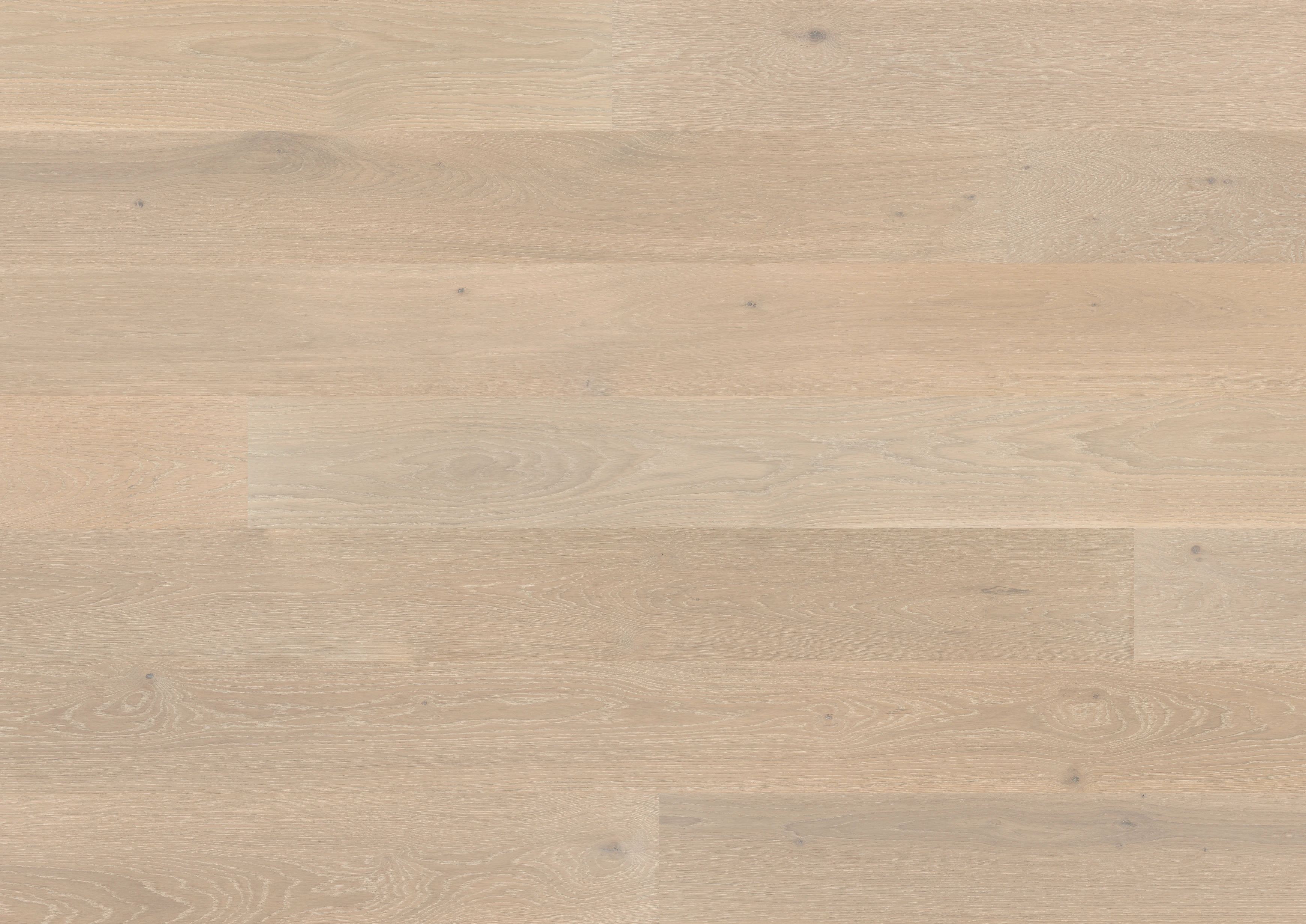 Oak old white