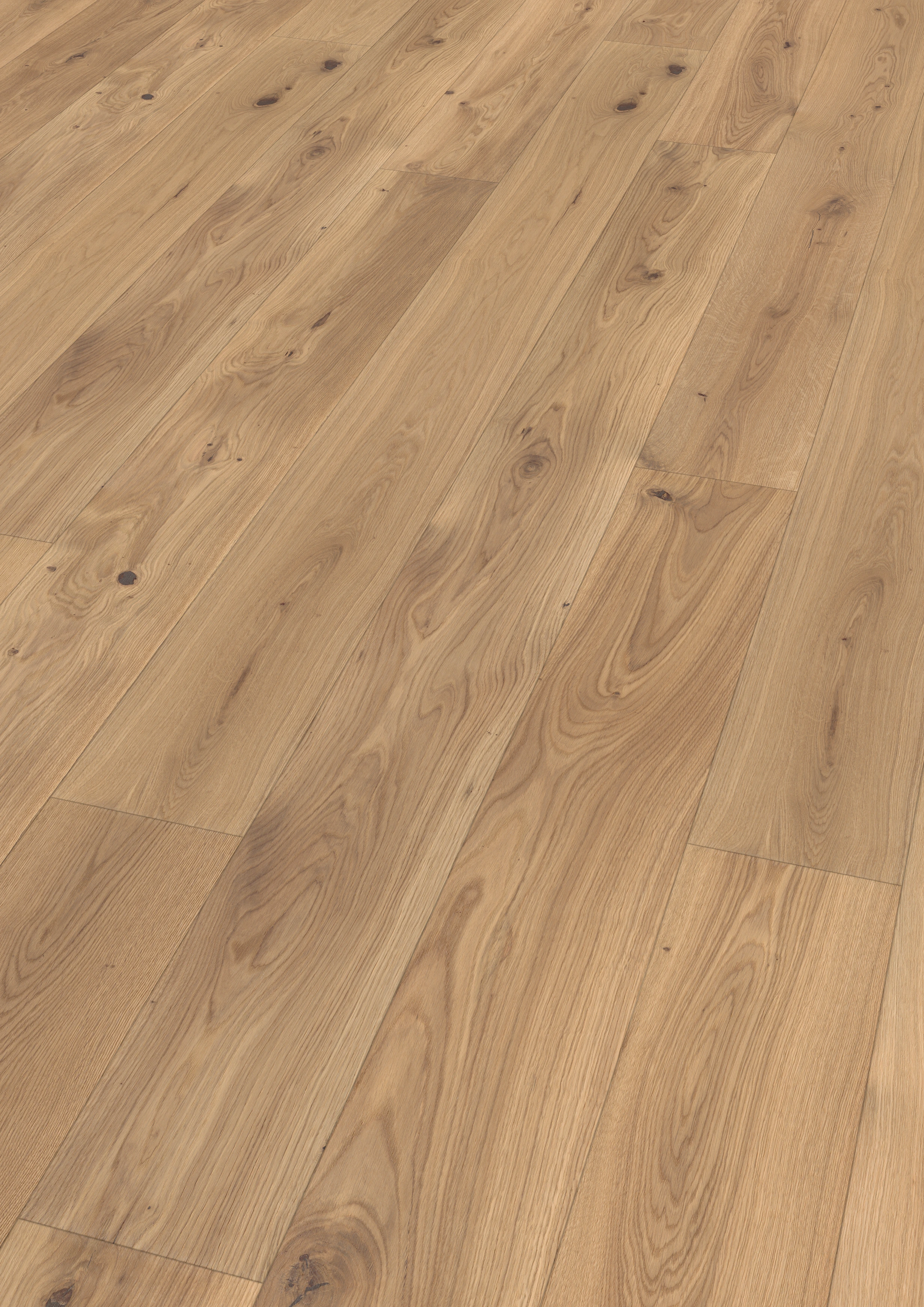 Oak light beige