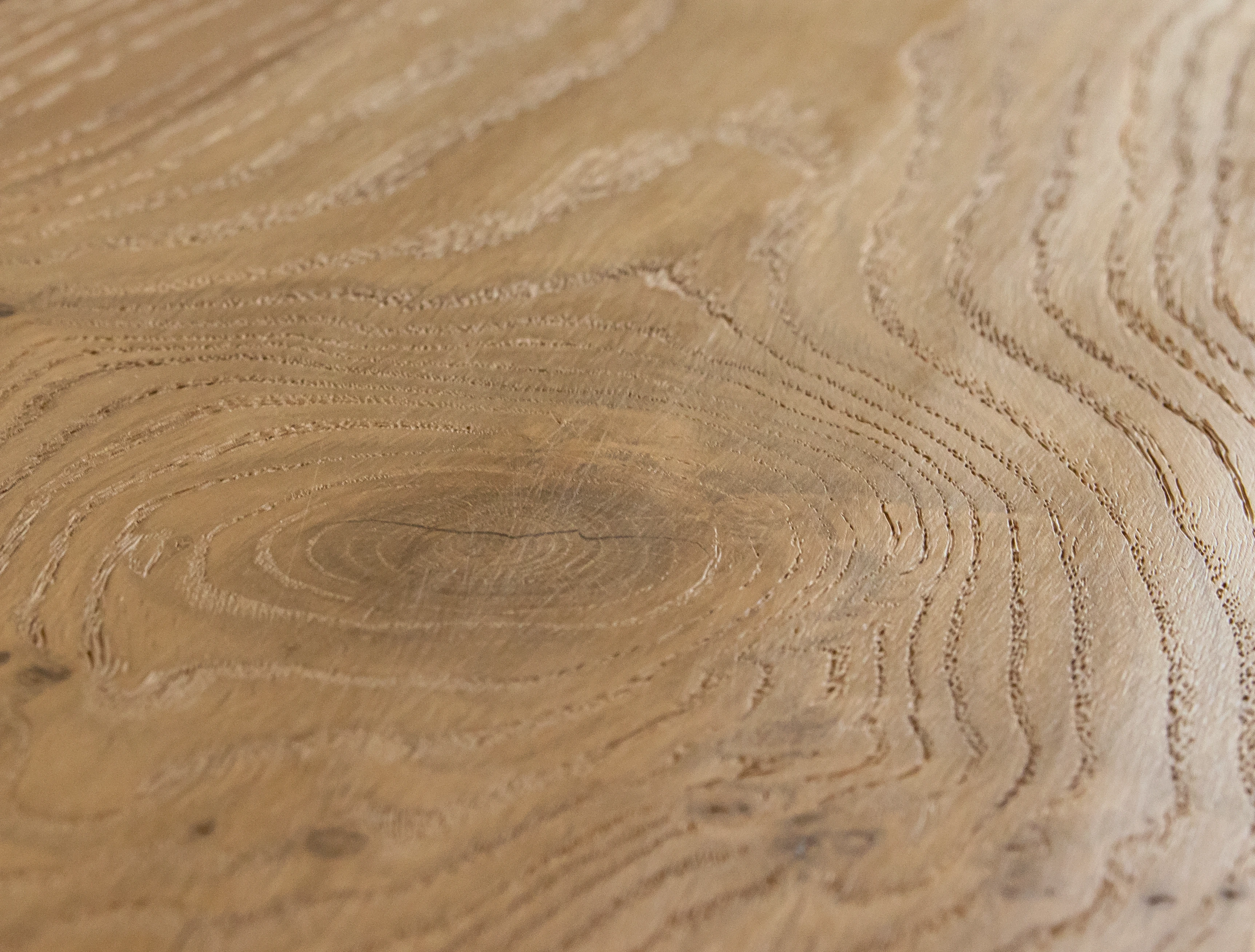 Oak No.21 - Warwick