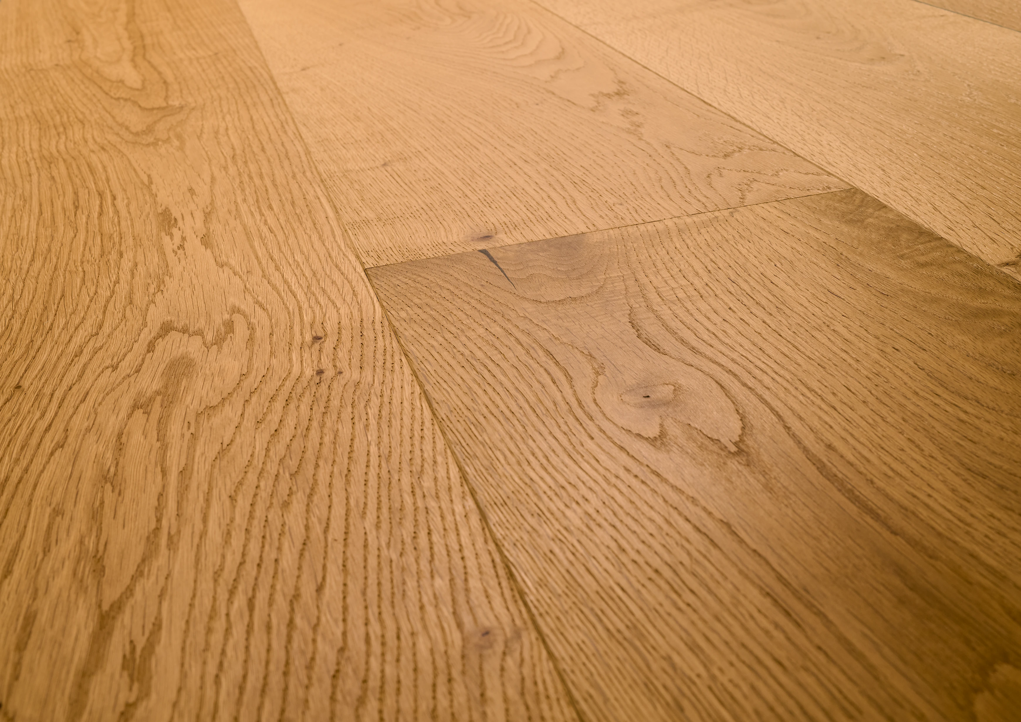 Oak No.14 - Windsor | 1148012291