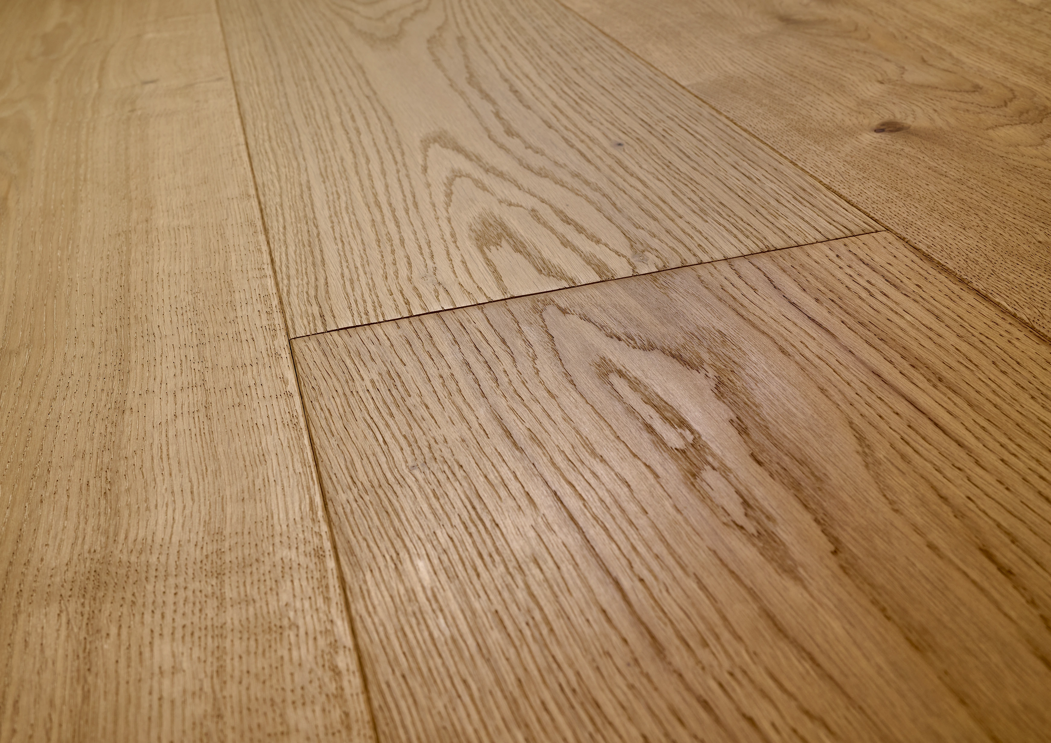 Oak No.21 - Warwick