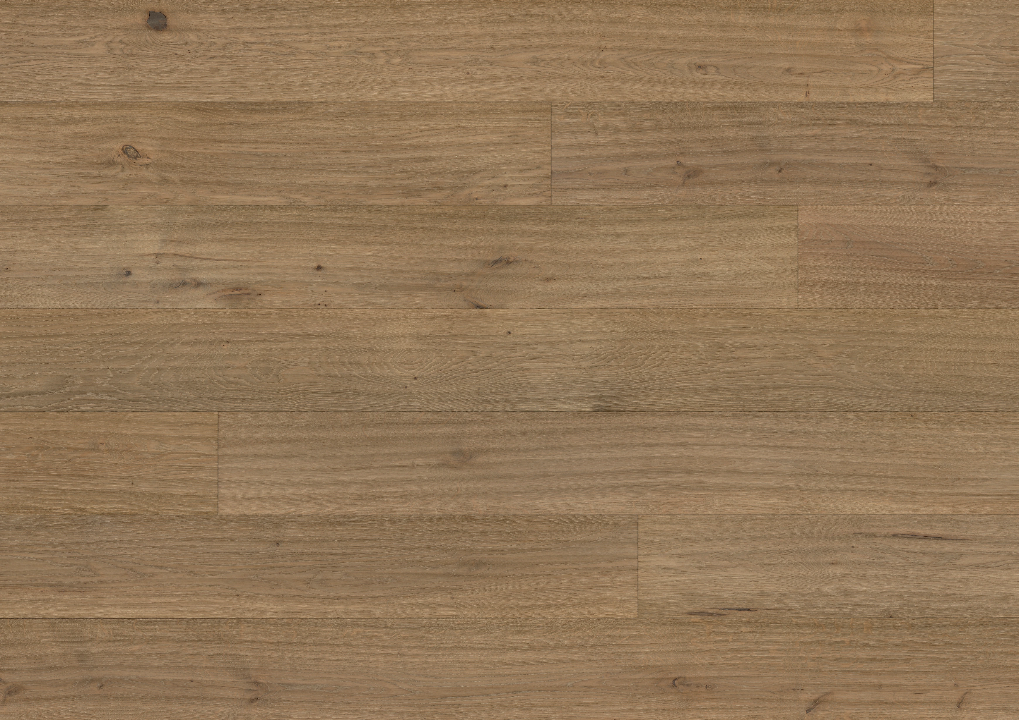 Oak unique grey beige