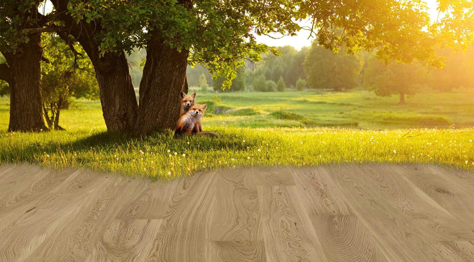Oak Burgund