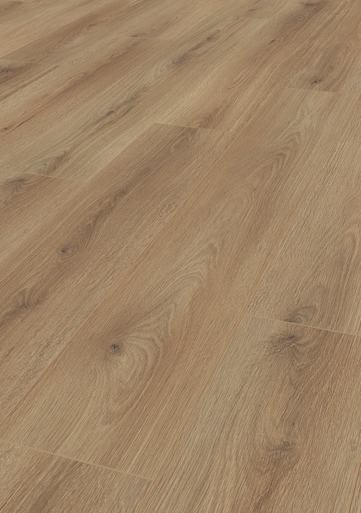 Oak Aurelia | 1188020006