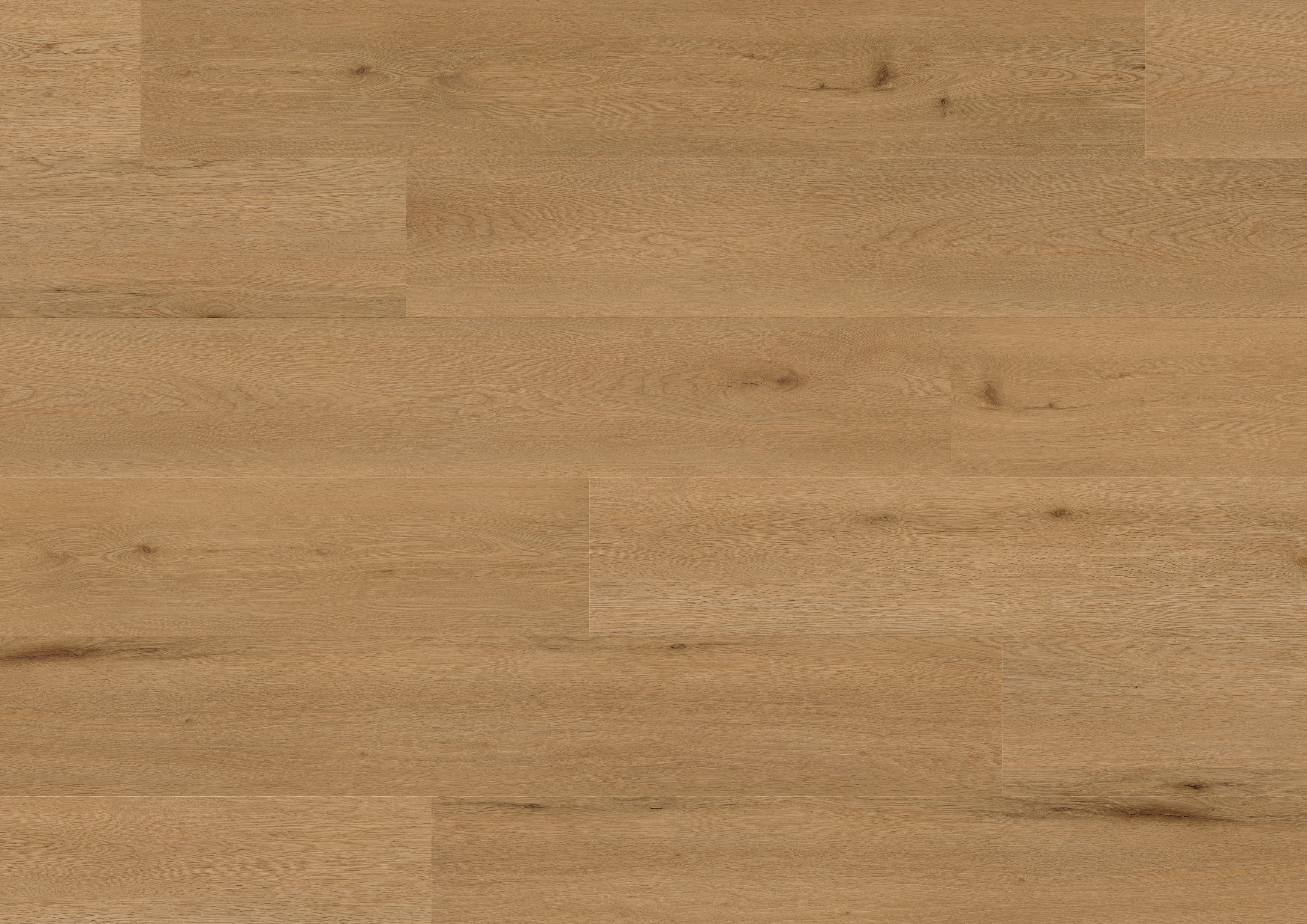 Oak Lyon