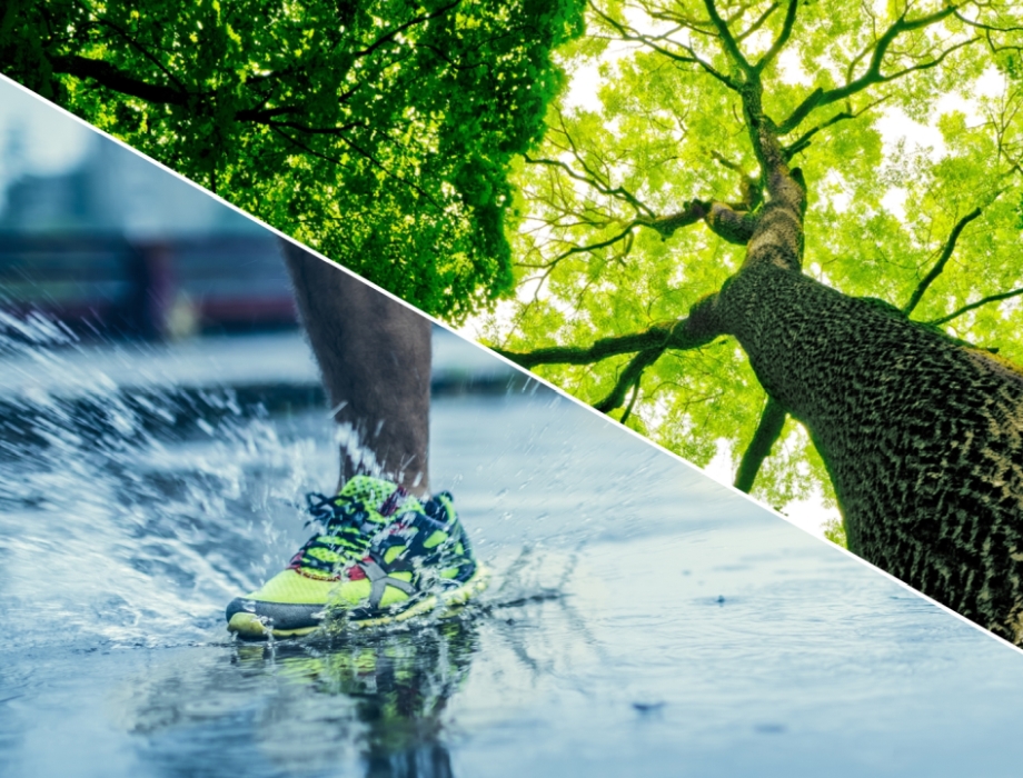 Dureco — water, bos, robuust en duurzaam