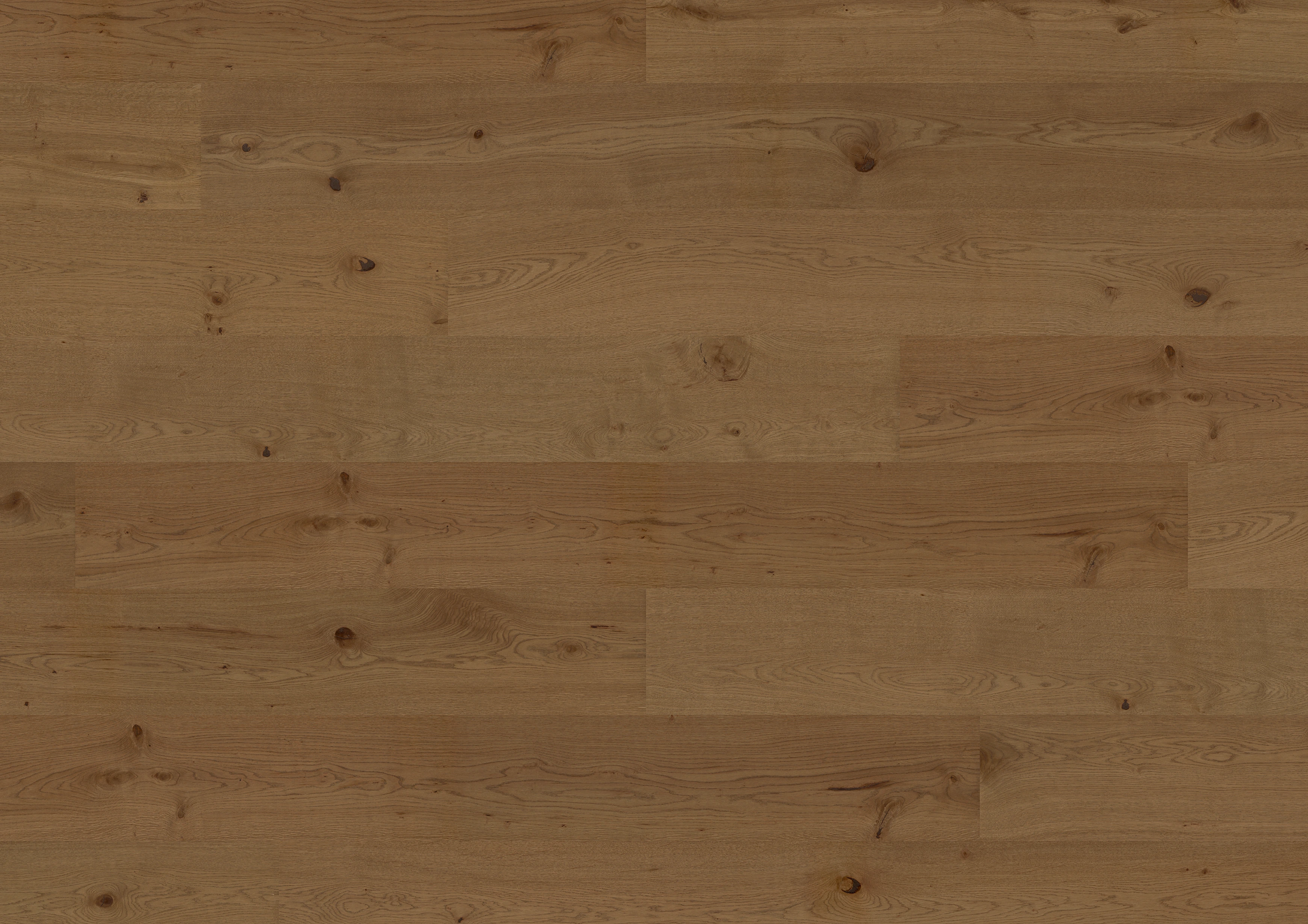 Eiche Riding Mountain