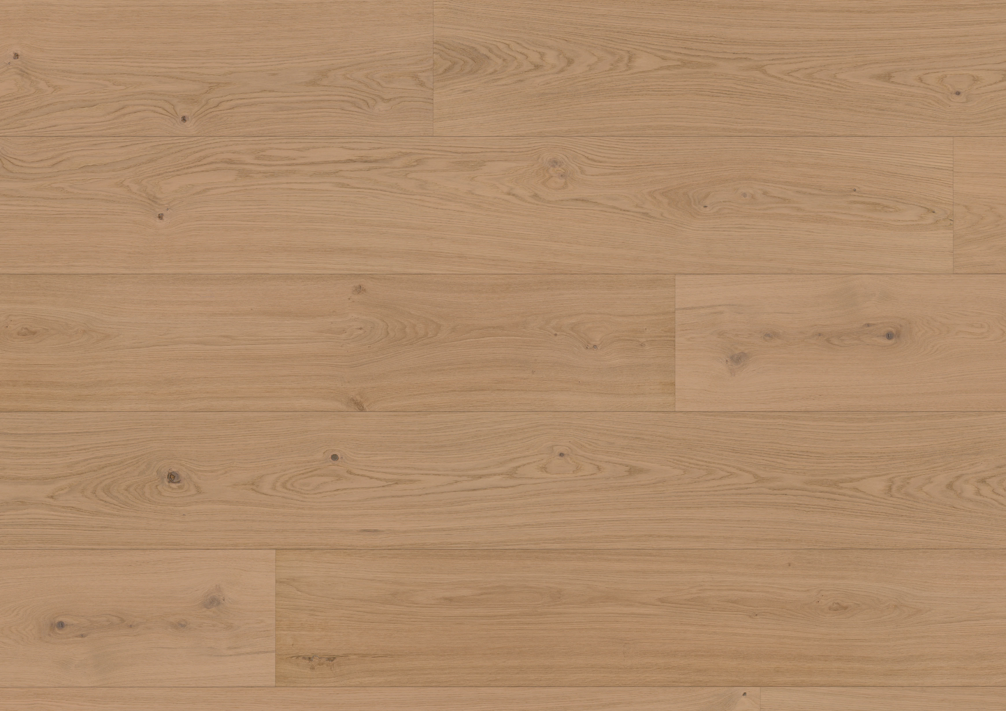 Oak Pirin