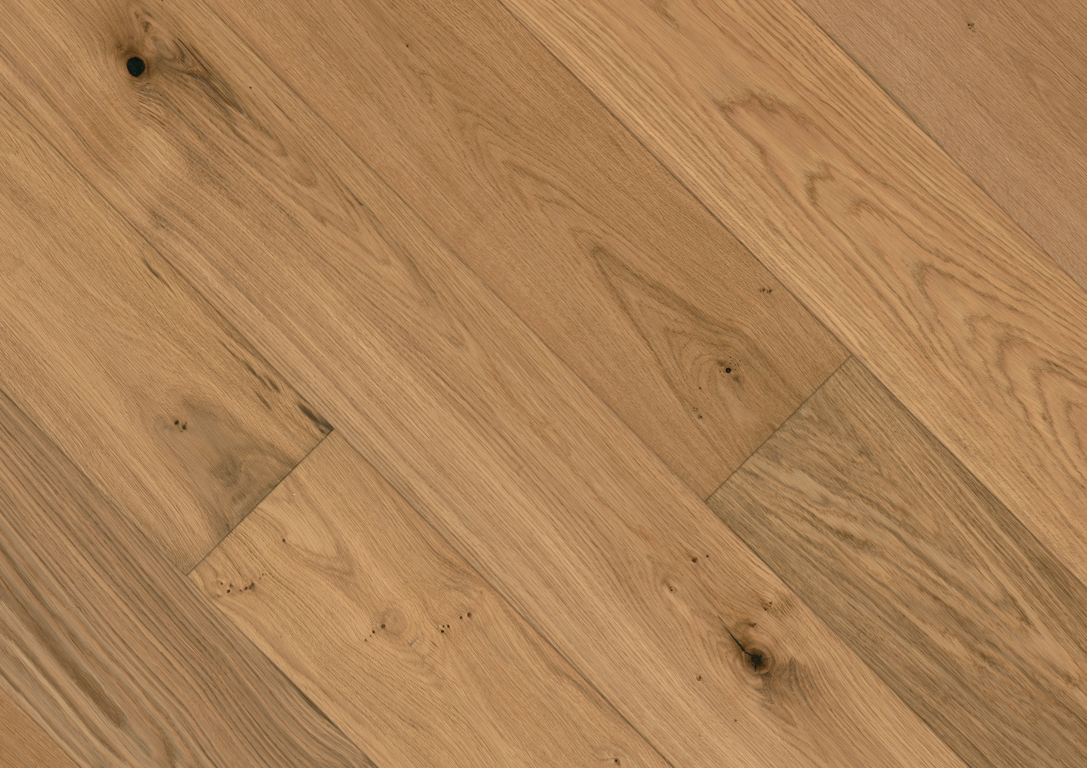 Oak No.11 - Salisbury