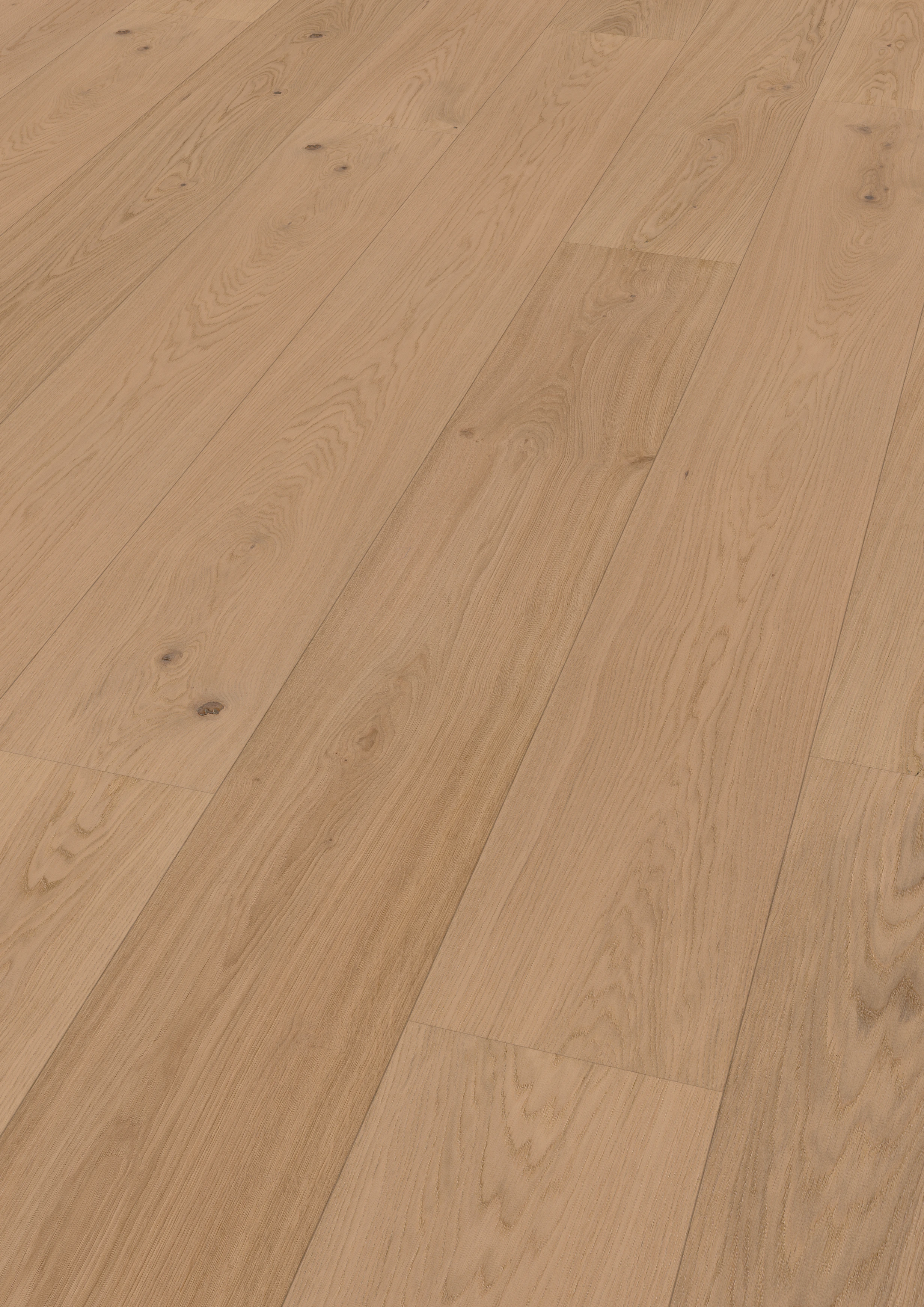 Oak Pirin