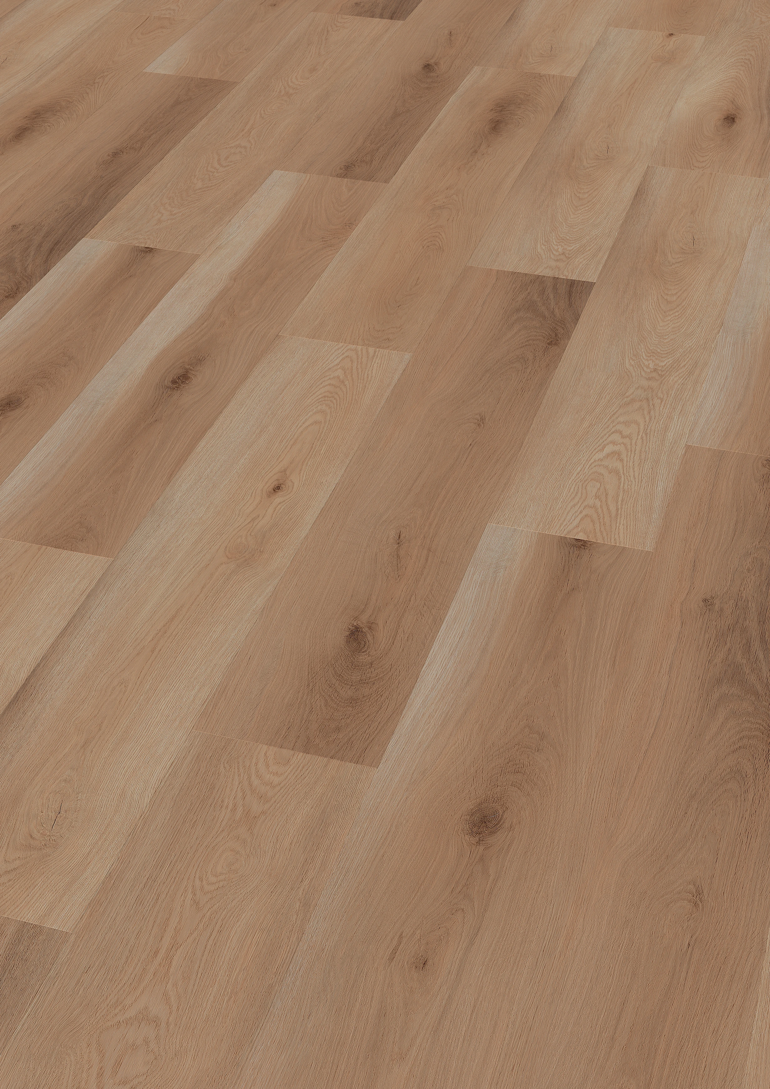 Oak Seville