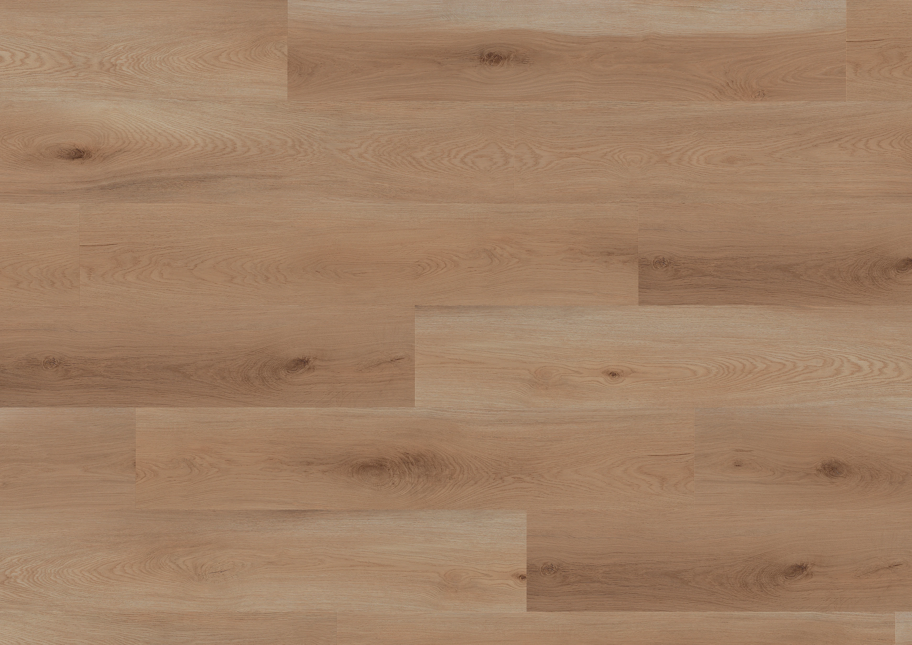 Oak Seville